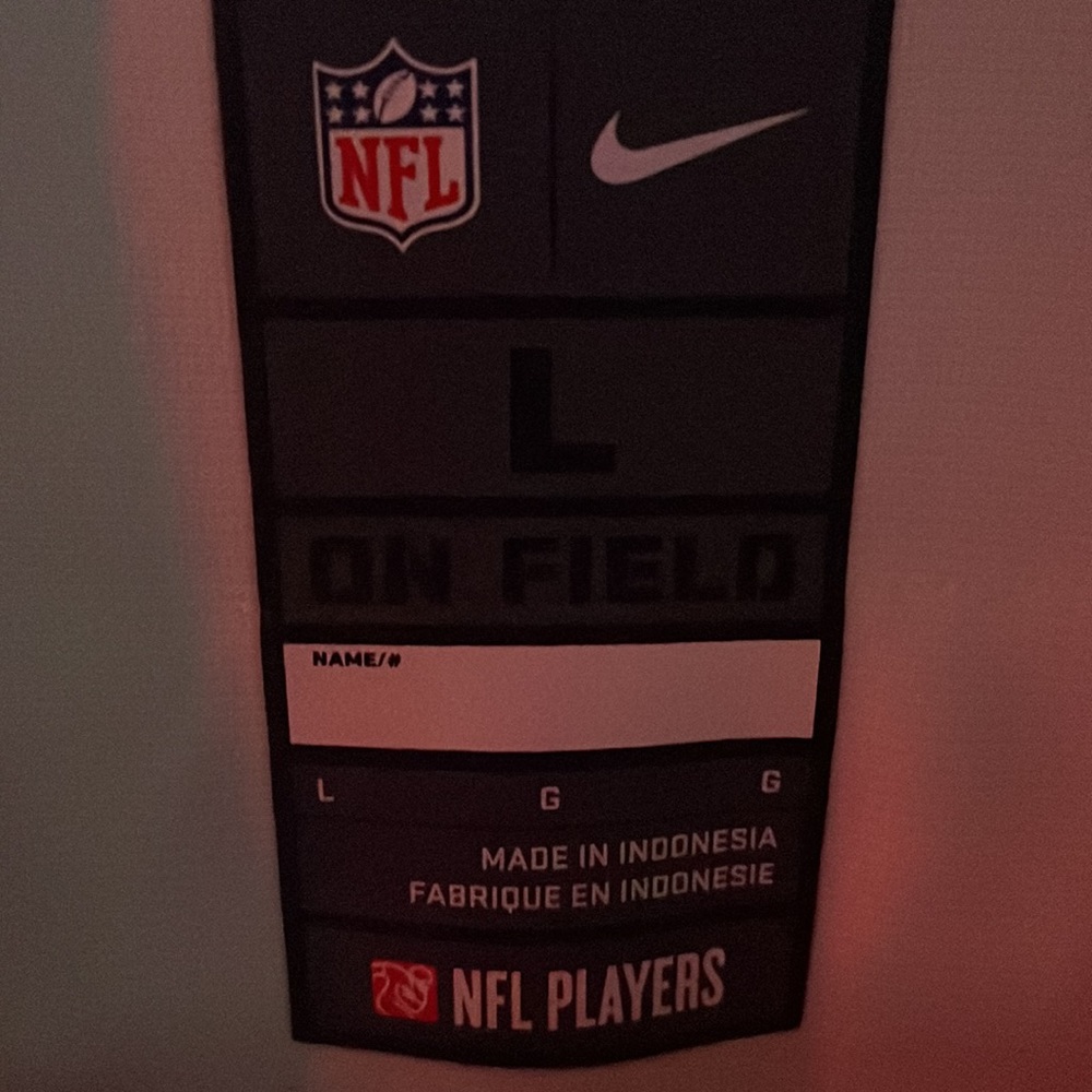 Robert Griffen III redskin large Jersey - Picture 3 of 3